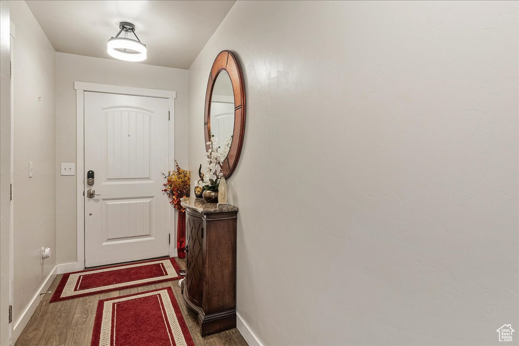 Entryway with dark hardwood / wood-style floors