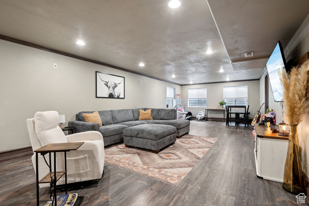 Living room featuring dark wood-type flooring and crown molding