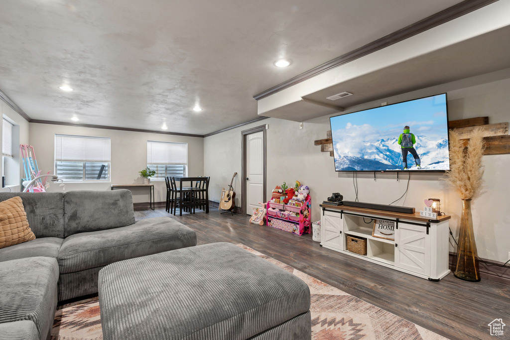 Living room featuring crown molding and dark wood-type flooring