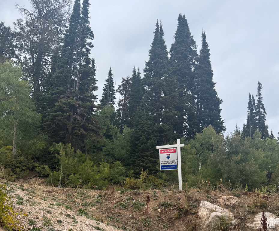 Photo 10 for MLS #2062906 at 6741 E Aspen Dr