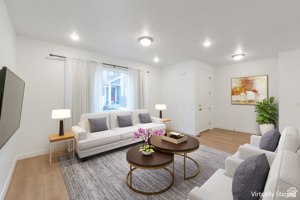 Living room featuring light hardwood / wood-style flooring