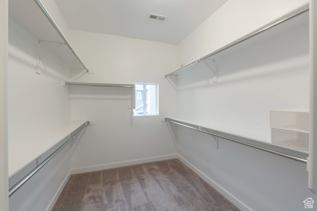 Walk in closet with carpet
