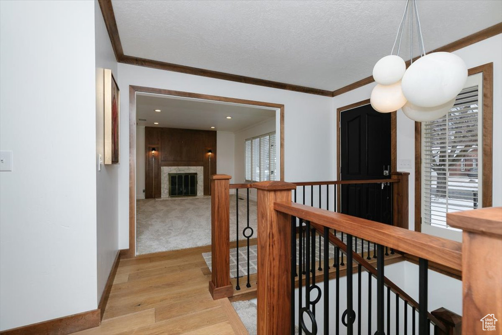 Corridor with ornamental molding, a textured ceiling, and light wood-type flooring