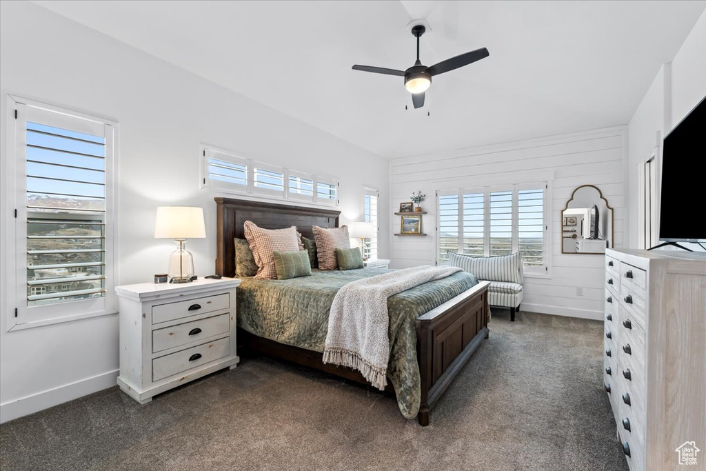 Carpeted bedroom with ceiling fan