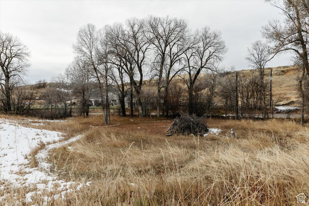 View of snowy landscape