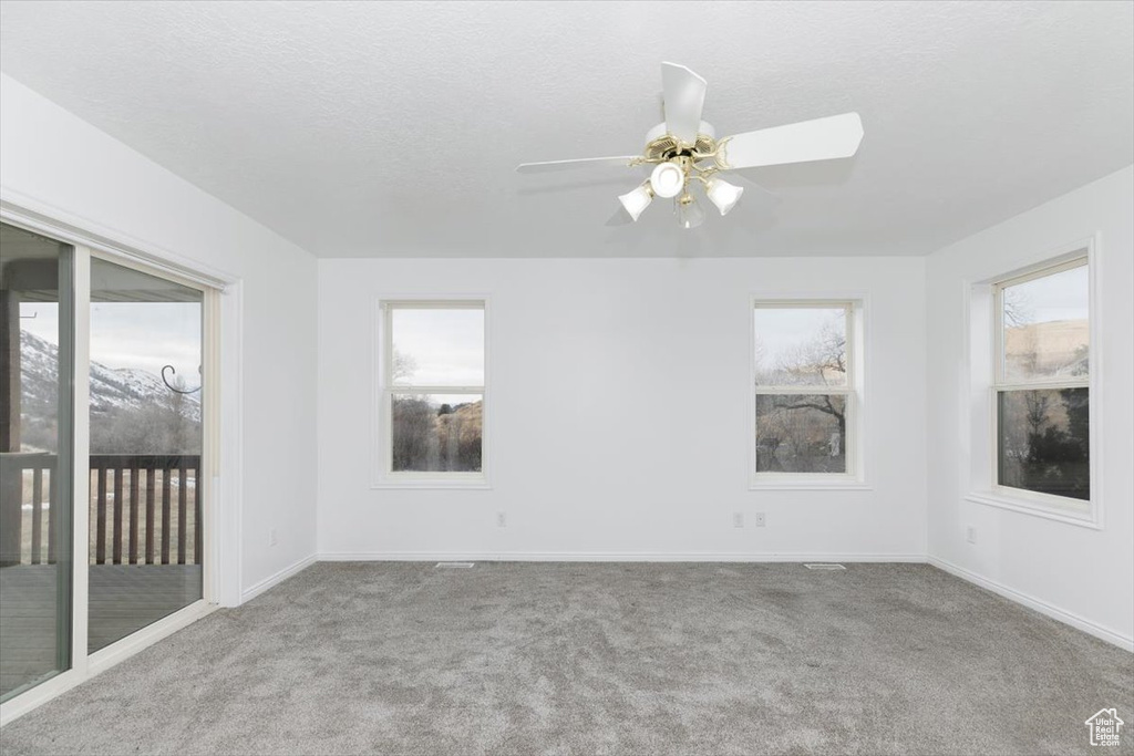 Empty room featuring ceiling fan, plenty of natural light, carpet floors, and a textured ceiling