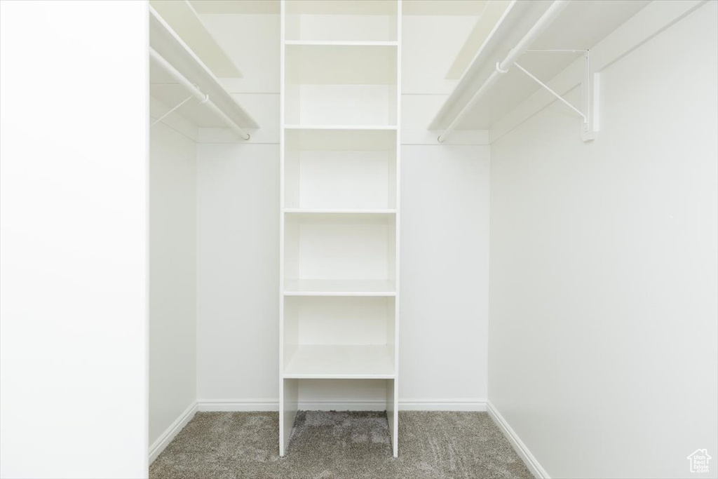 Spacious closet featuring carpet flooring