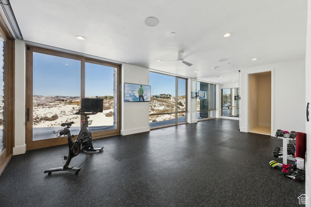 Exercise area featuring expansive windows and ceiling fan