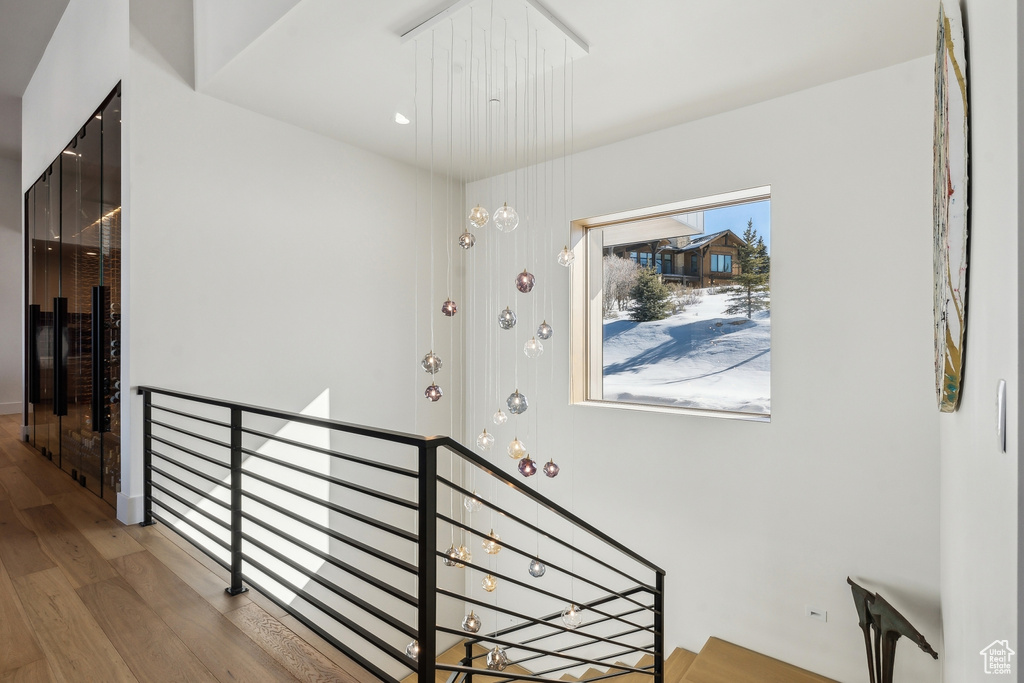 Stairs featuring hardwood / wood-style floors