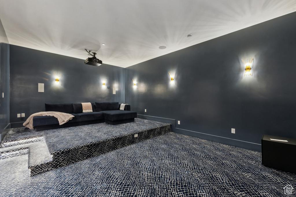 Cinema featuring carpet