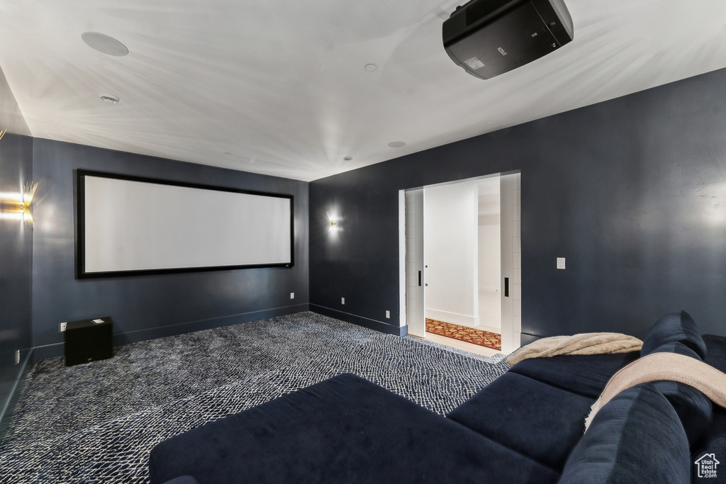 Cinema room with carpet floors