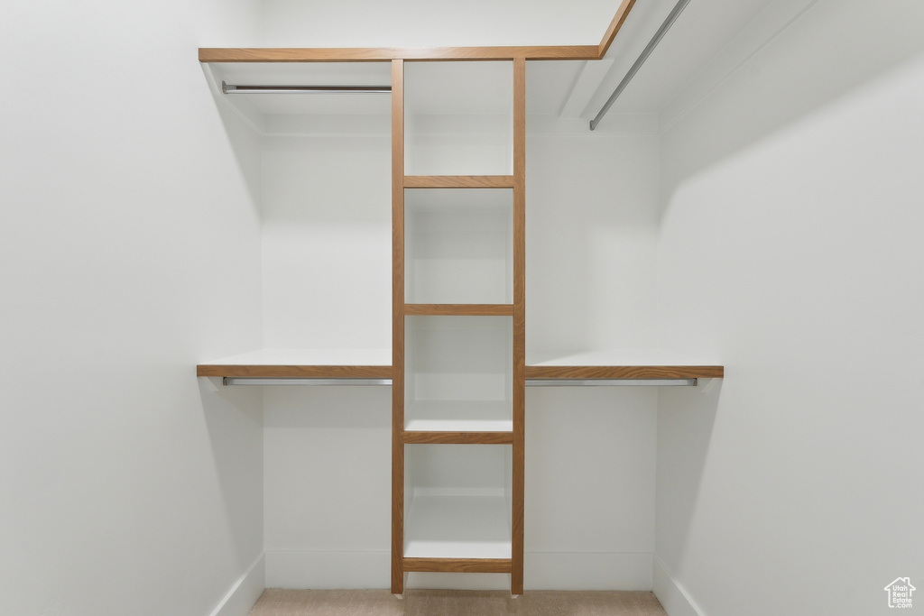 Spacious closet featuring carpet floors