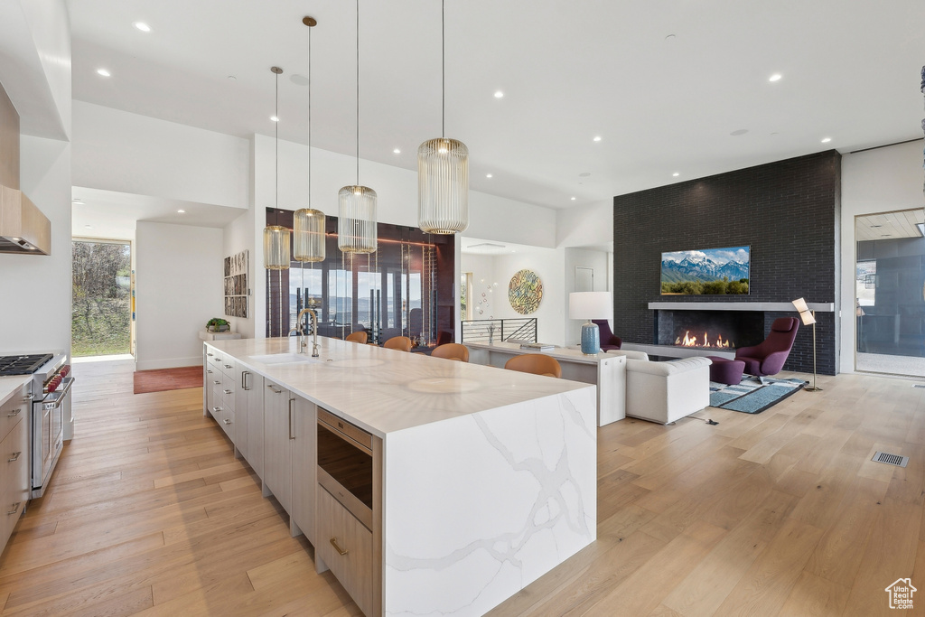 Kitchen with stainless steel appliances, modern cabinets, light wood-style flooring, a large island, and a sink