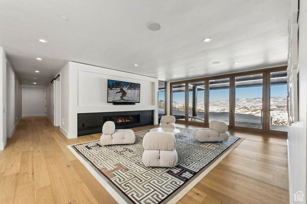 Living room featuring light wood-type flooring