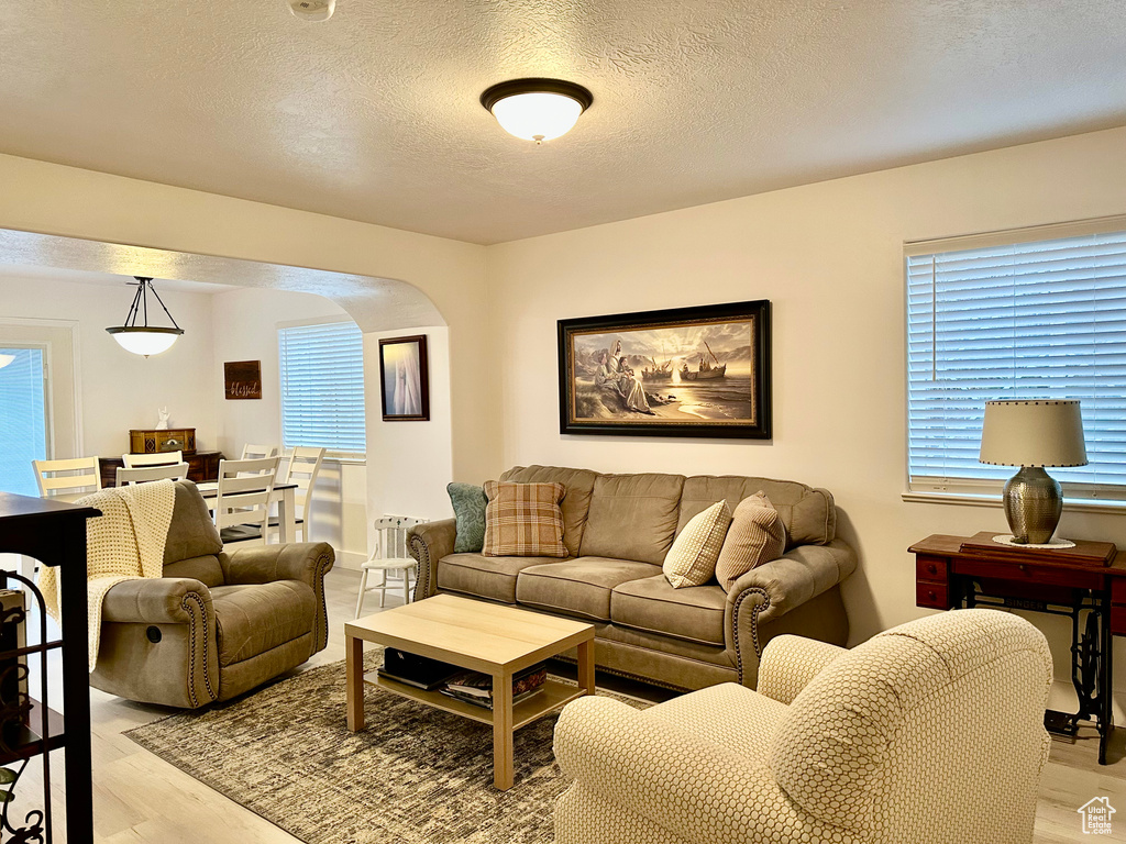 Living room with a textured ceiling and light hardwood / wood-style flooring