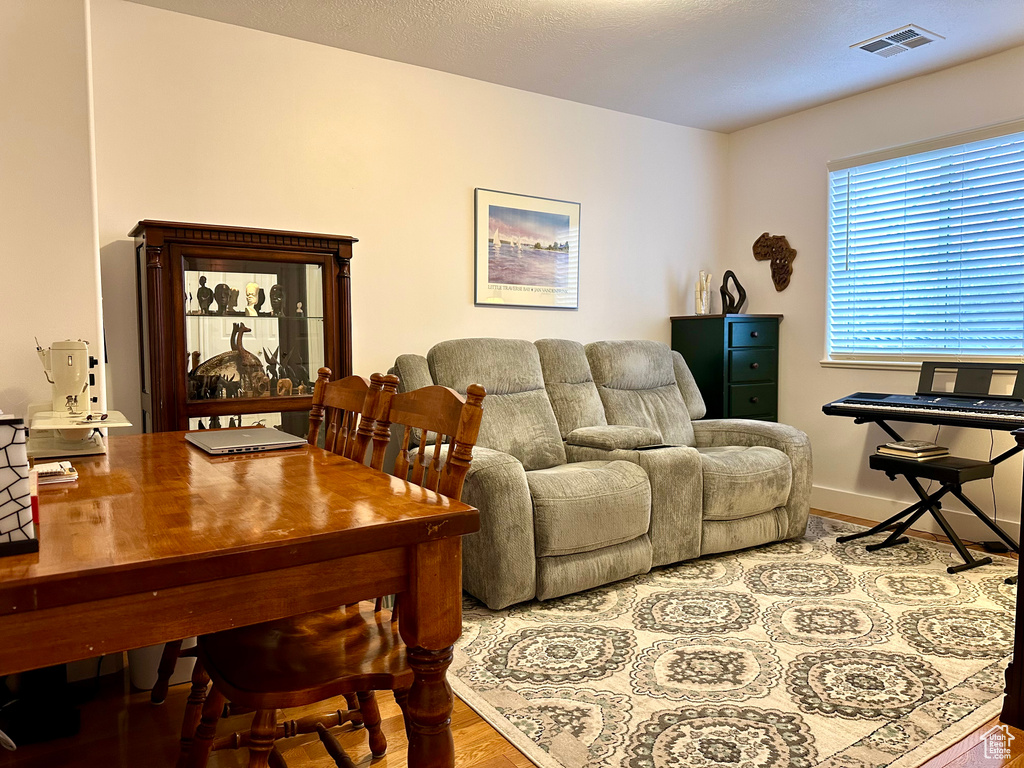 Living room featuring wood-type flooring