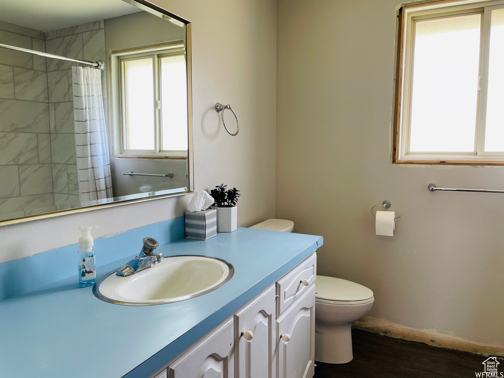 Bathroom with vanity, wood-type flooring, walk in shower, and toilet