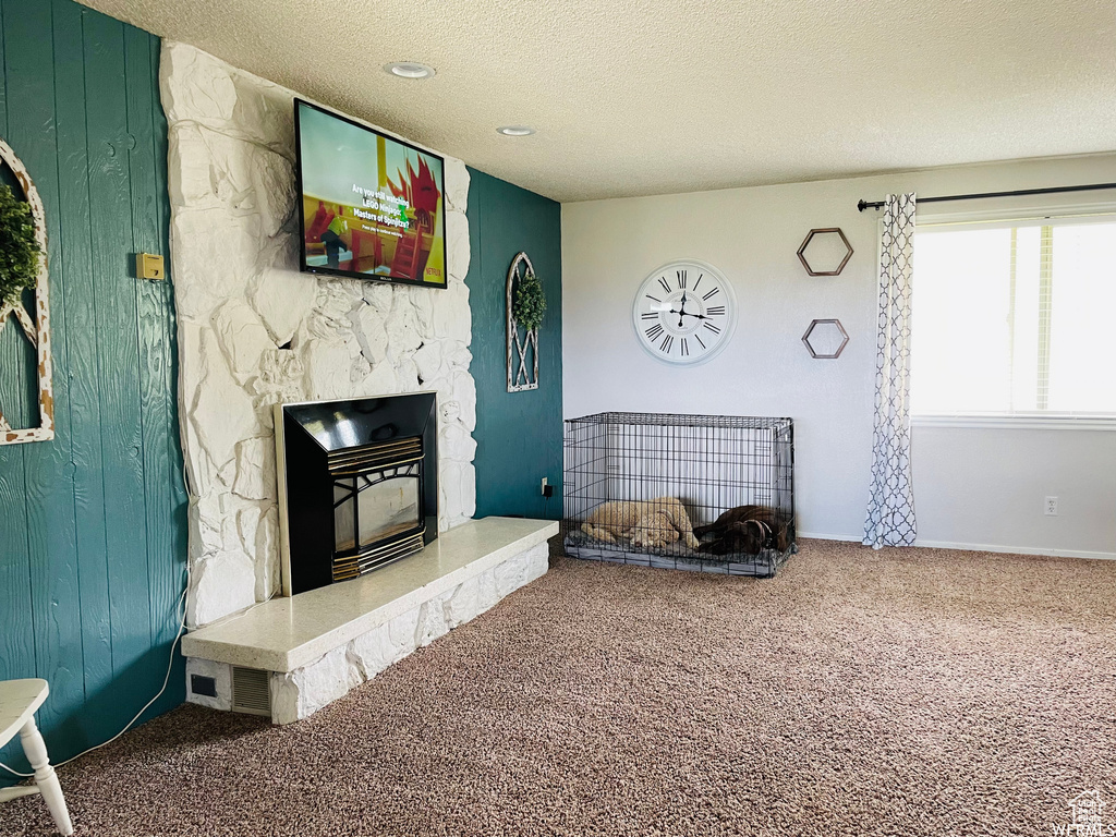 Carpeted living room with a textured ceiling