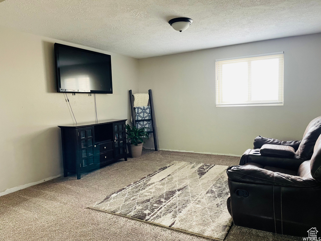 Living room with carpet floors and a textured ceiling