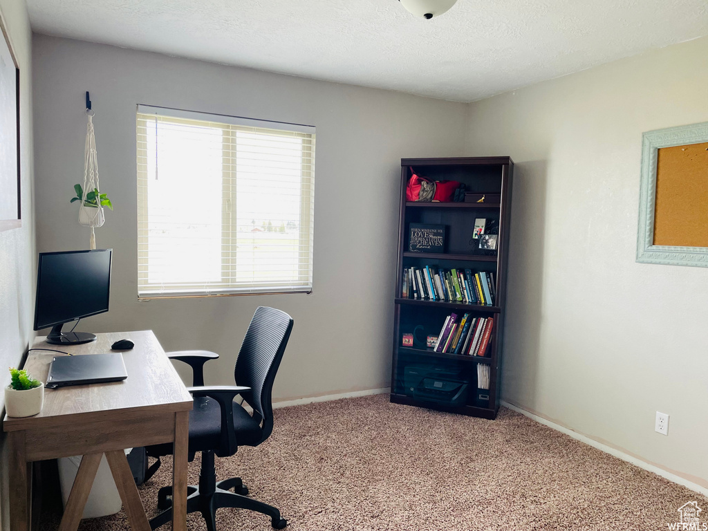 View of carpeted home office