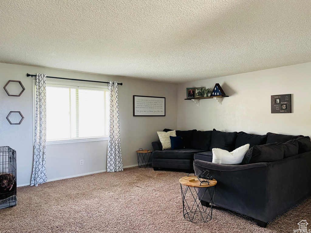 Living room featuring a textured ceiling and carpet