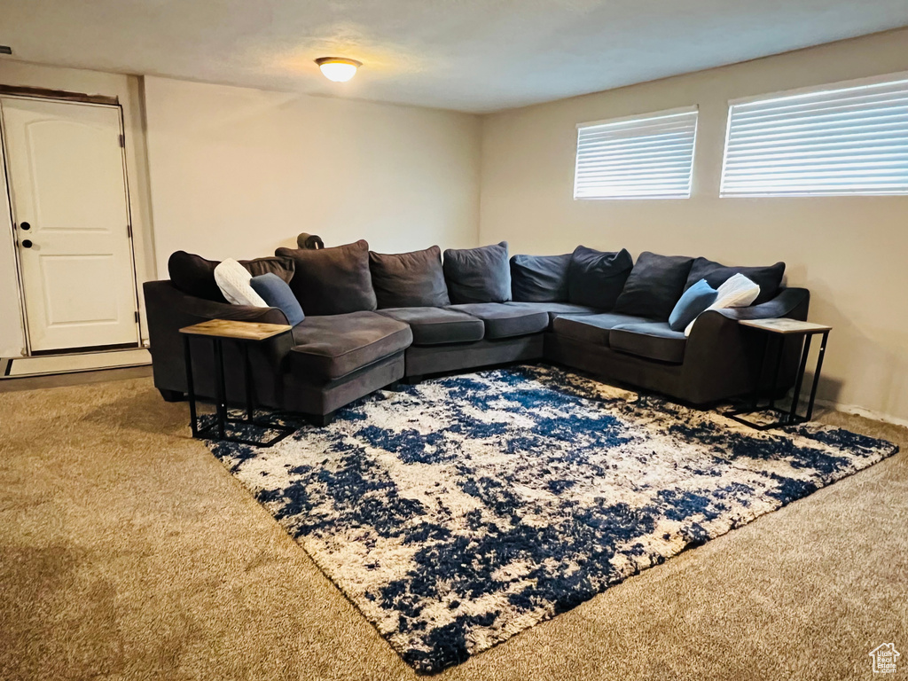 Living room featuring carpet flooring