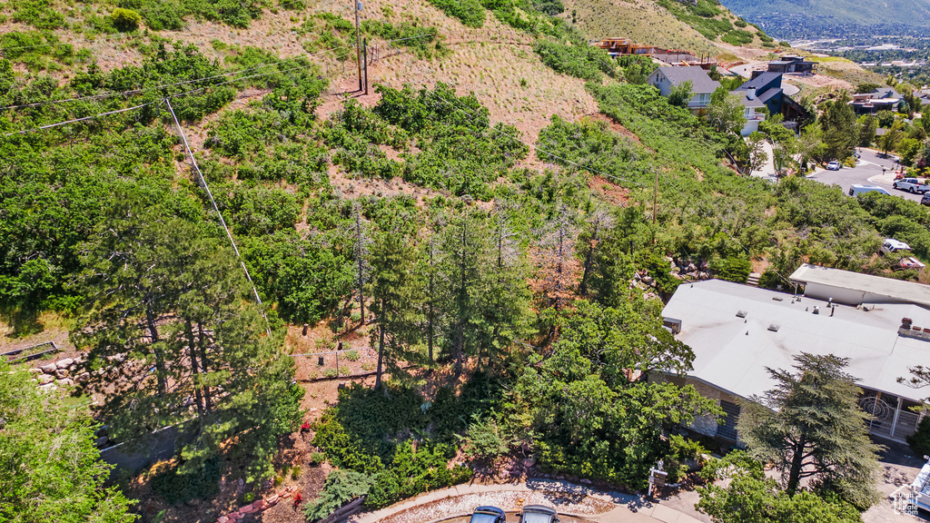 Bird\'s eye view
