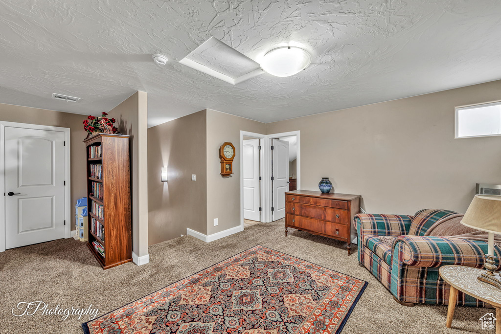 Sitting room featuring light carpet and a textured ceiling