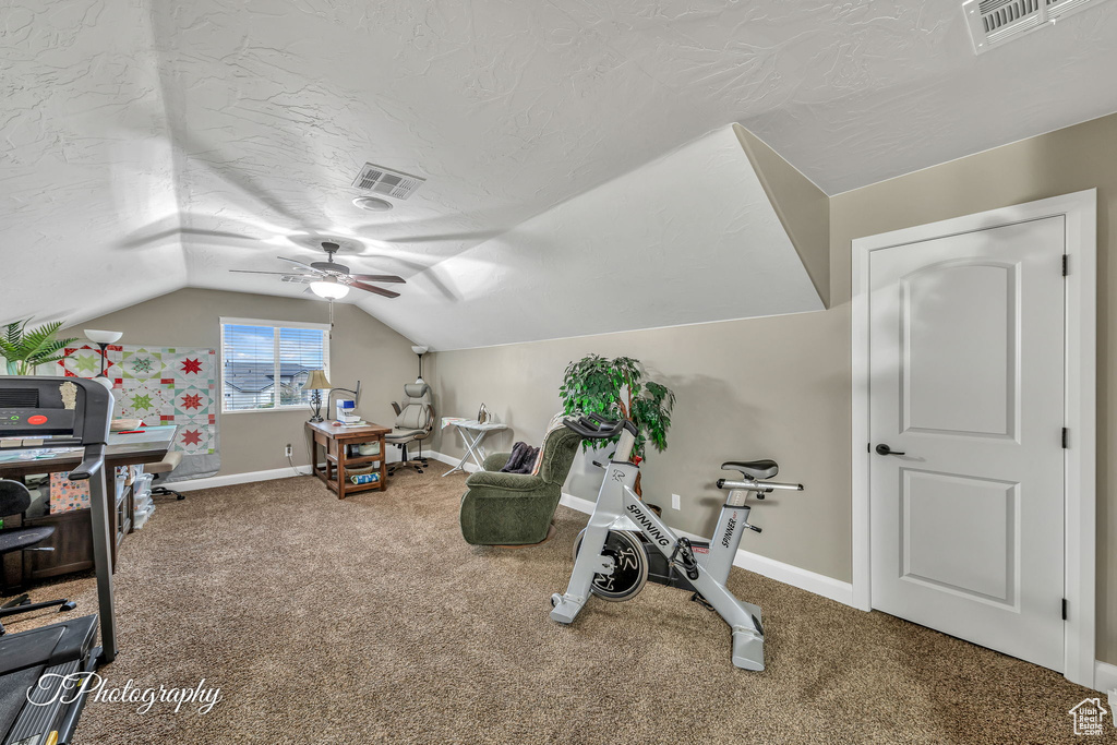 Exercise room featuring lofted ceiling, carpet floors, and a textured ceiling