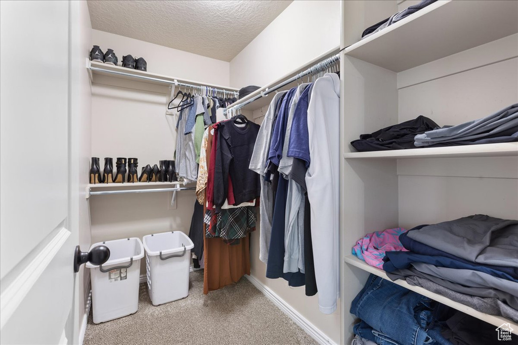 Walk in closet featuring carpet flooring