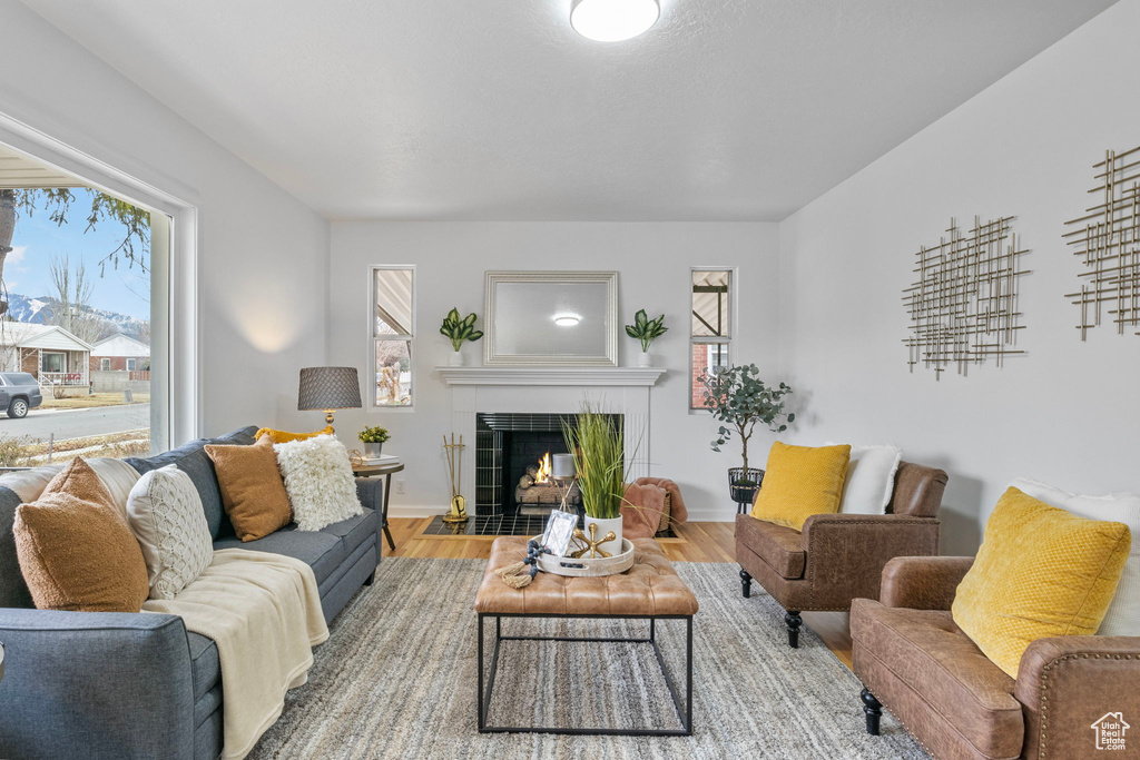 Living room featuring a tiled fireplace and wood-type flooring