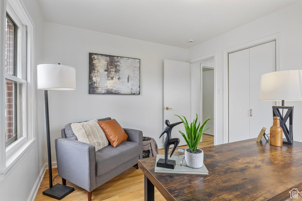 Living room featuring wood-type flooring