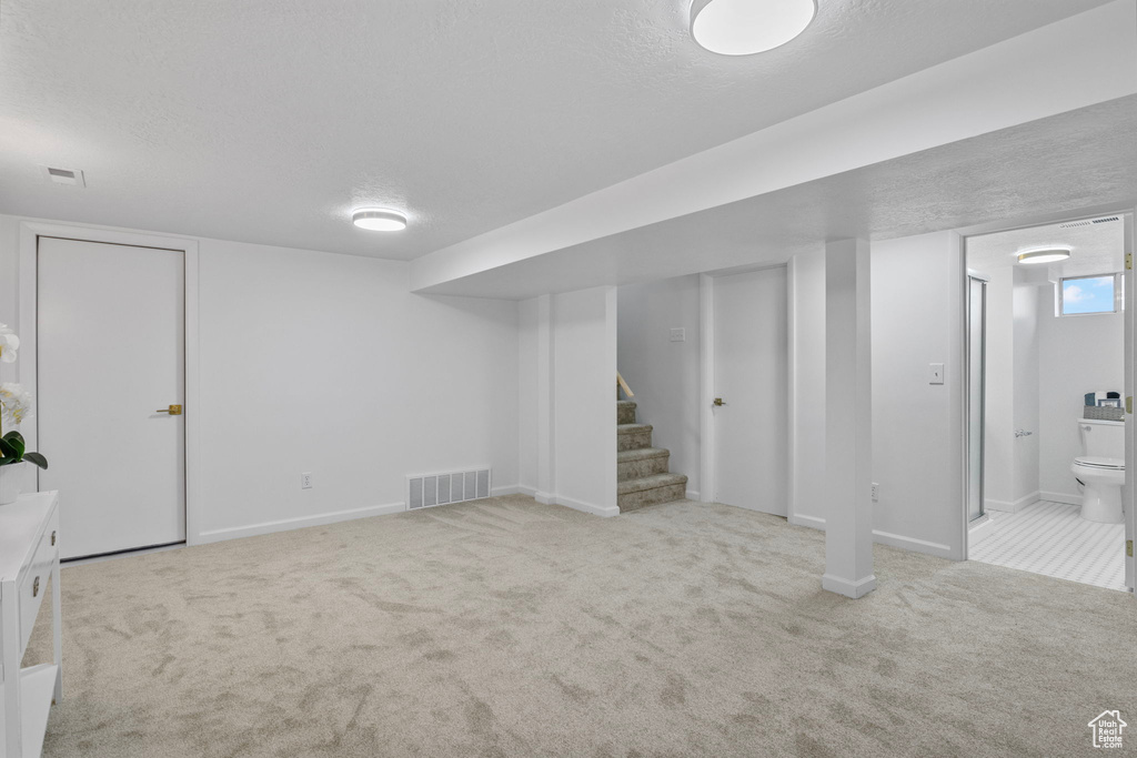 Basement with light carpet and a textured ceiling