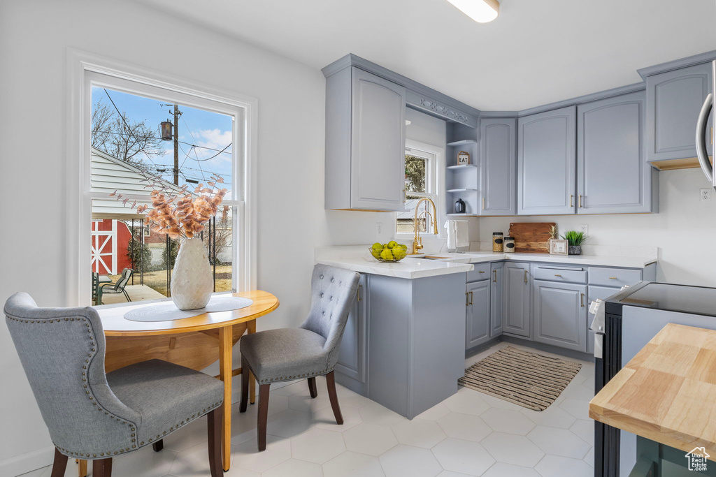 Kitchen featuring sink and gray cabinetry