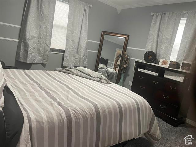 Carpeted bedroom with crown molding and multiple windows