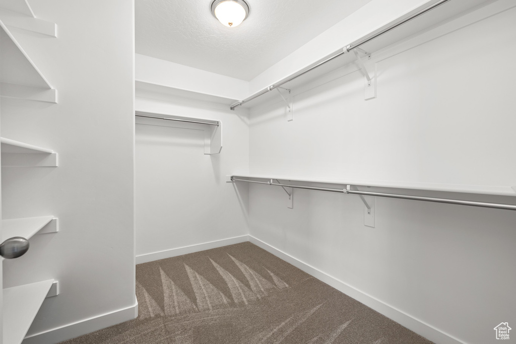 Spacious closet featuring carpet flooring