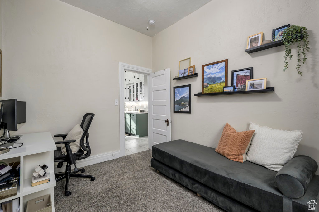 Office featuring light colored carpet