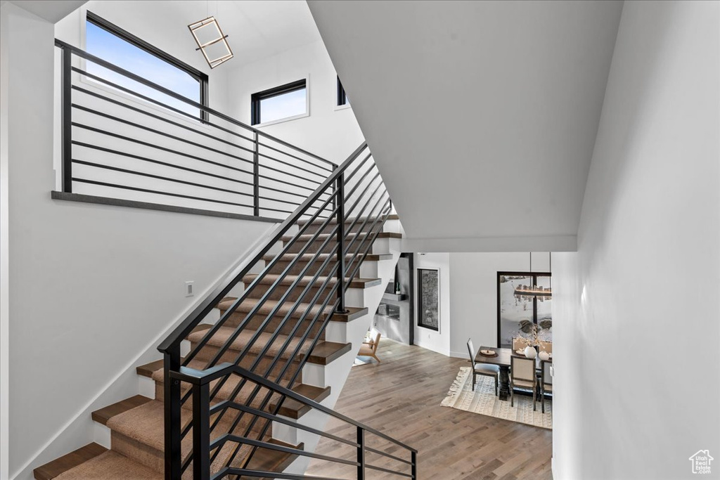 Stairs with hardwood / wood-style flooring