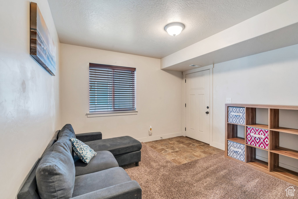 Carpeted living room with a textured ceiling