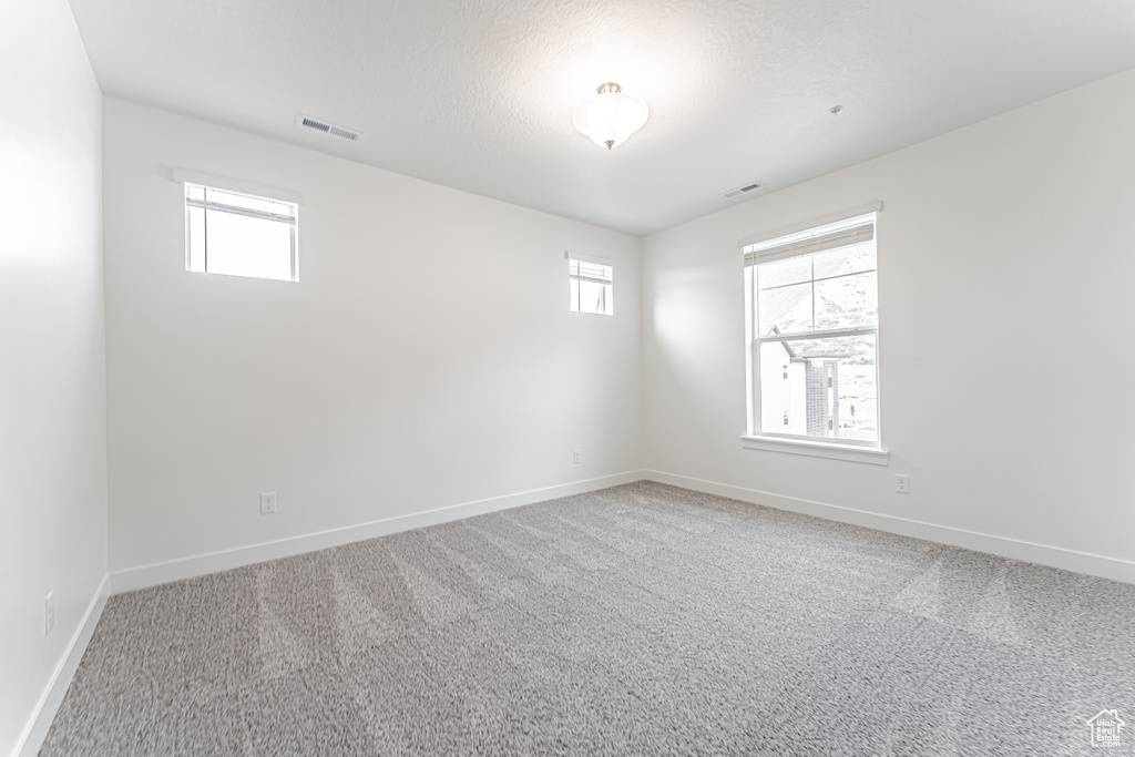 4835 S ALDER DR #D303 Mapleton, UT 84664
