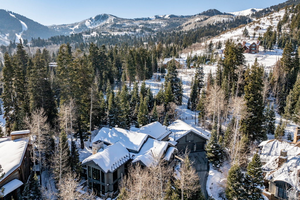 Snowy aerial view featuring a mountain view and a forest view