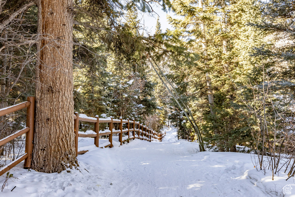 View of snowy yard