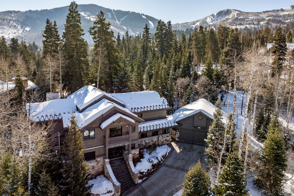 Snowy aerial view with a view of trees and a mountain view