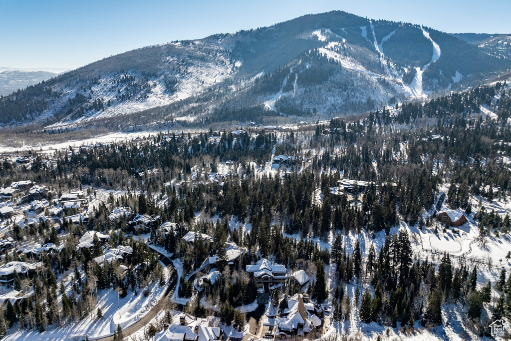 Mountain view