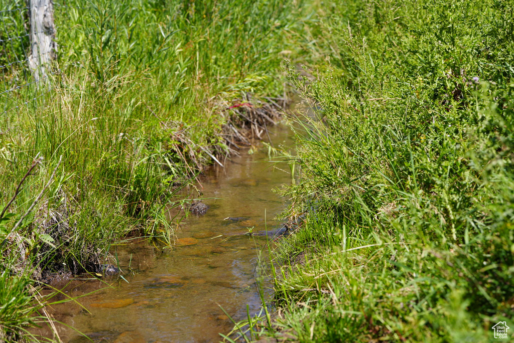 View of nature with a water view