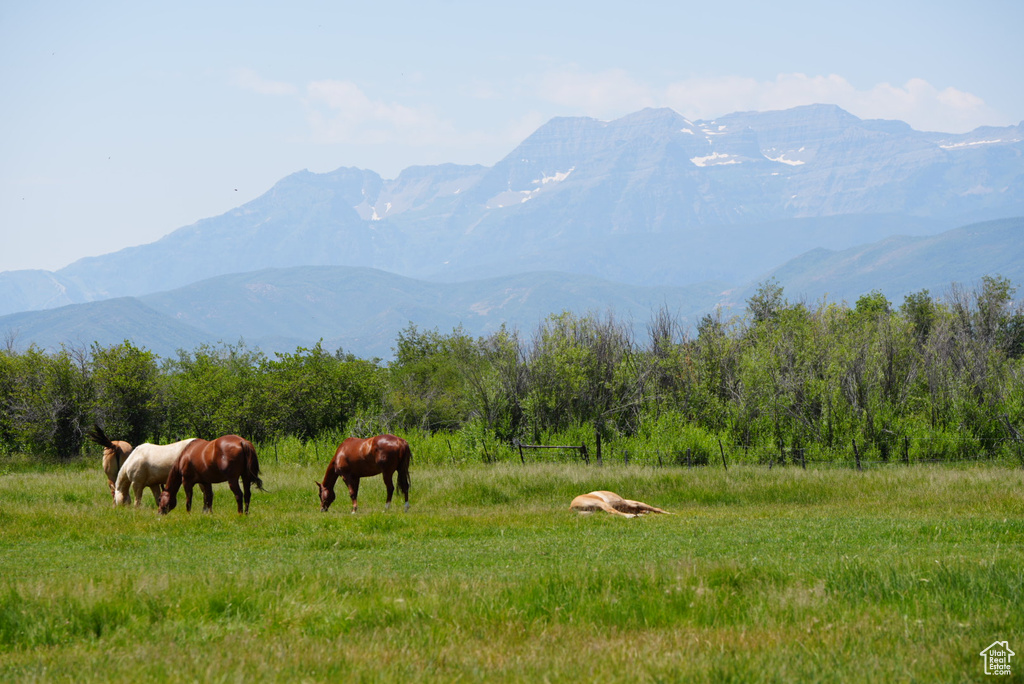 Mountain view featuring a rural view