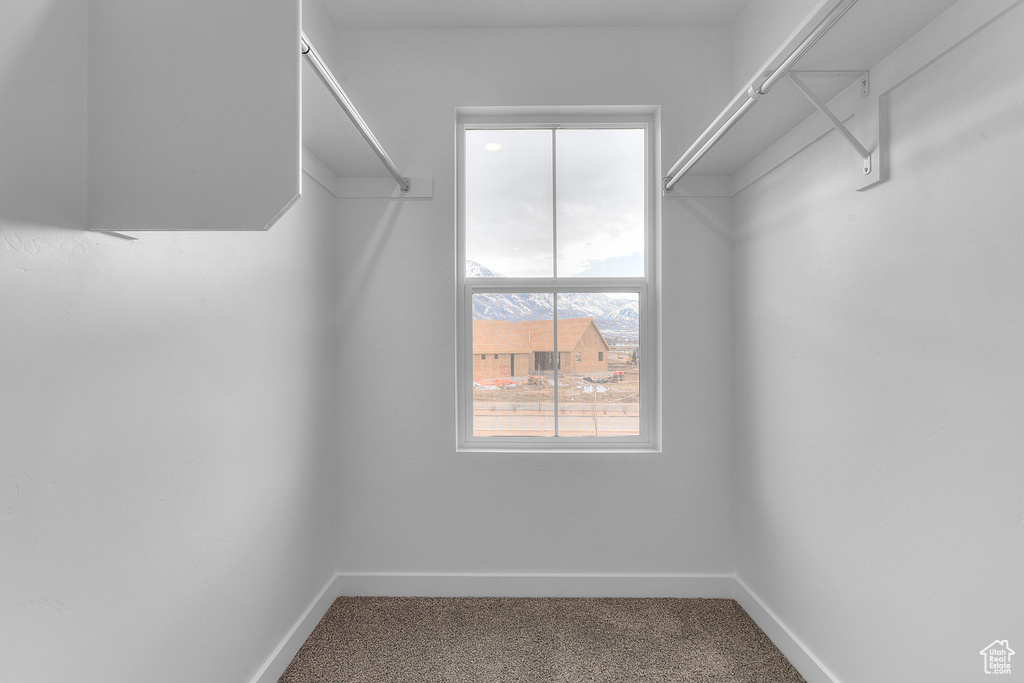 Walk in closet featuring carpet