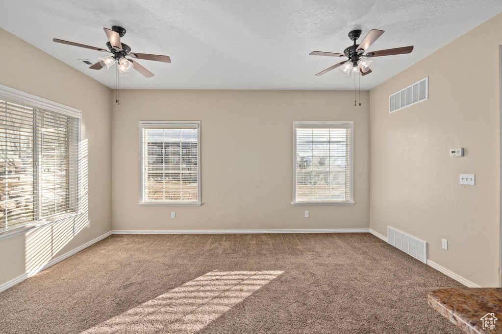 Spare room featuring ceiling fan, carpet floors, and a wealth of natural light