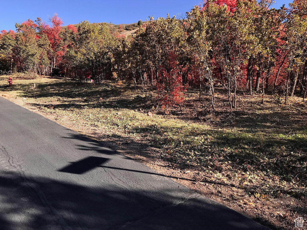 View of road