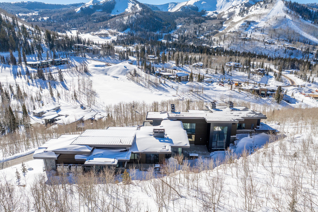 246 WHITE PINE CANYON RD Park City, UT 84060